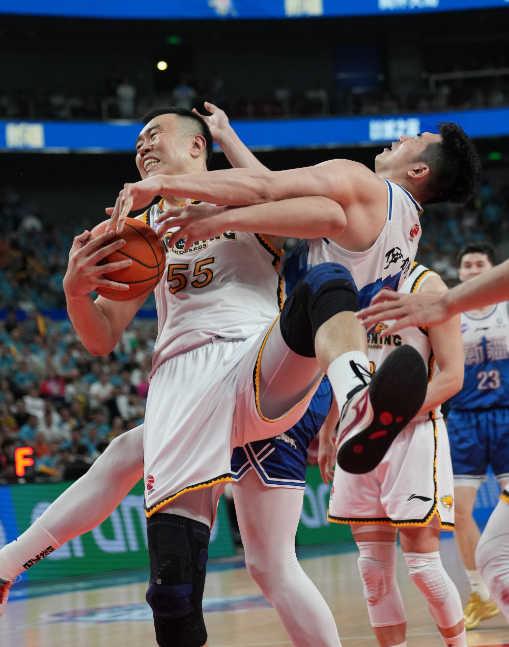 cba辽宁队队_(cba辽宁队队员照片) 第1张 cba辽宁队队_(cba辽宁队队员照片) 第1张