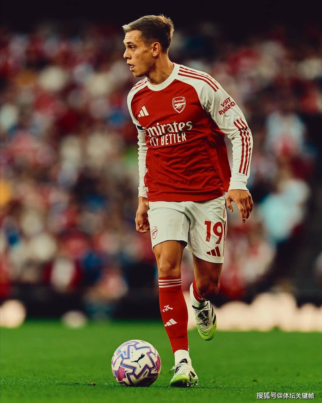 包含曝特罗萨德可以出战曼联新赛季来临前复出的词条 第1张 包含曝特罗萨德可以出战曼联新赛季来临前复出的词条 第1张