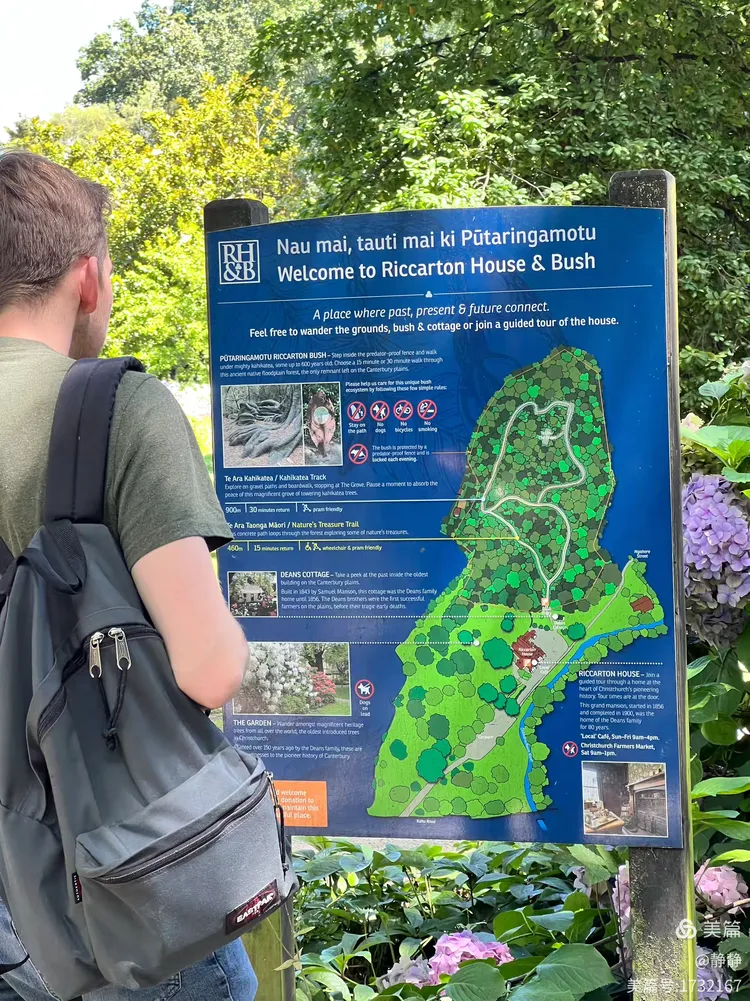 关于新西兰超:惠灵顿奥林匹克VS基督城联的信息 第1张 关于新西兰超:惠灵顿奥林匹克VS基督城联的信息 第1张