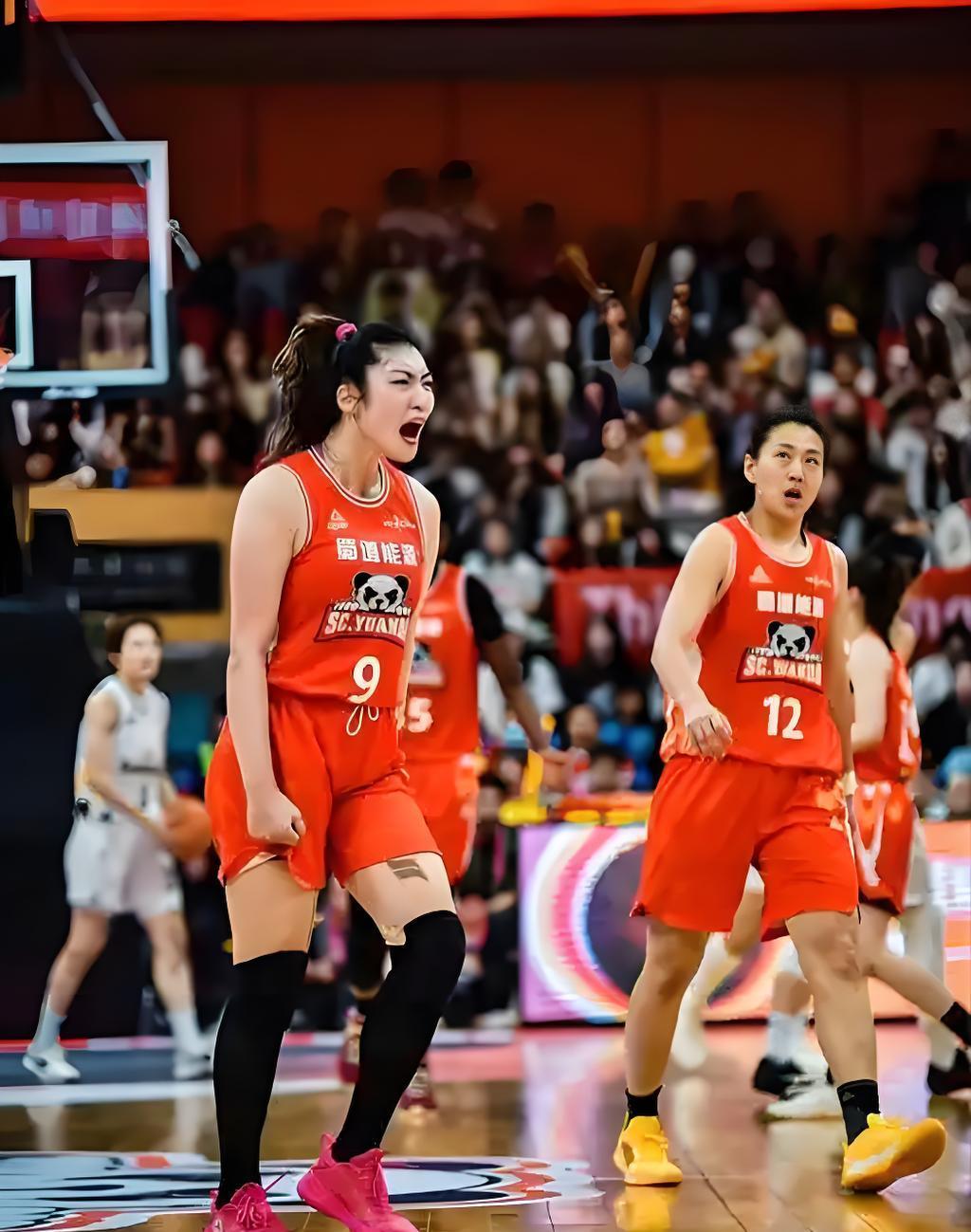 李梦王思雨缺席锦标赛四川女篮阵容豪华的简单介绍