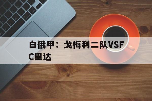 包含白俄甲：戈梅利二队VSFC里达的词条  第1张