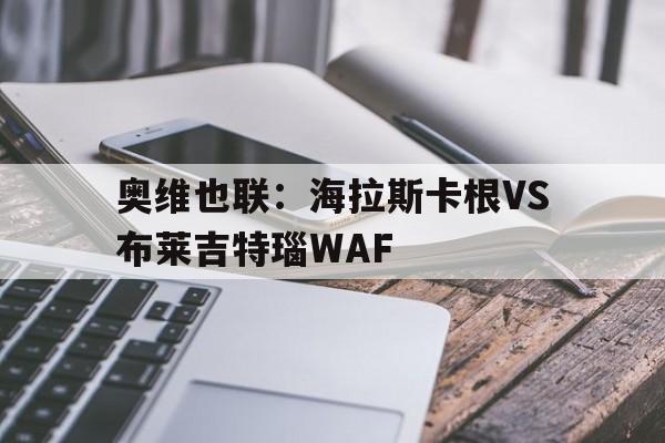关于奥维也联：海拉斯卡根VS布莱吉特瑙WAF的信息  第1张