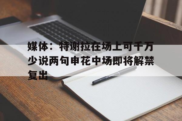 媒体:特谢拉在场上可千万少说两句申花中场即将解禁复出的简单介绍 第1张 媒体:特谢拉在场上可千万少说两句申花中场即将解禁复出的简单介绍 第1张