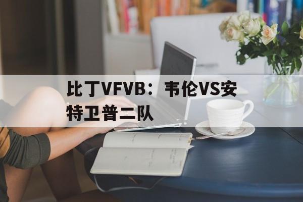 比丁VFVB：韦伦VS安特卫普二队的简单介绍