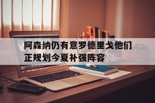 关于阿森纳仍有意罗德里戈他们正规划今夏补强阵容的信息  第1张