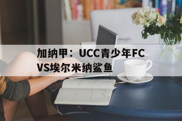 加纳甲：UCC青少年FCVS埃尔米纳鲨鱼的简单介绍  第1张