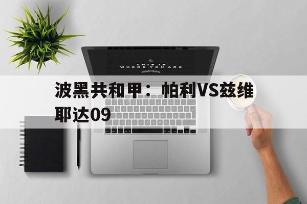 波黑共和甲：帕利VS兹维耶达09的简单介绍  第1张