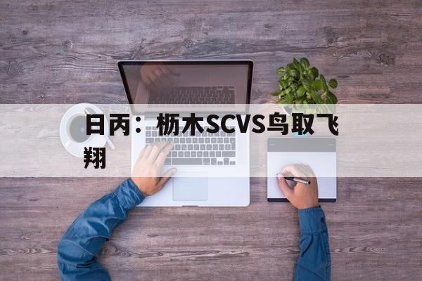包含日丙：枥木SCVS鸟取飞翔的词条